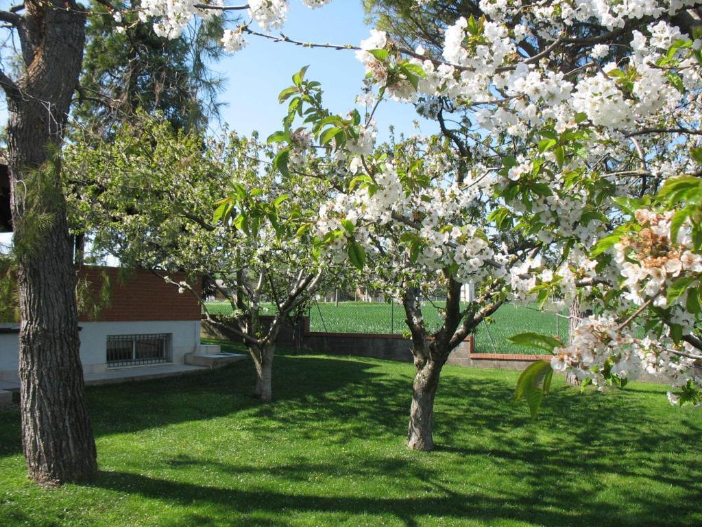 Bed & Breakfast Bompadre Civitanova Marche Dış mekan fotoğraf