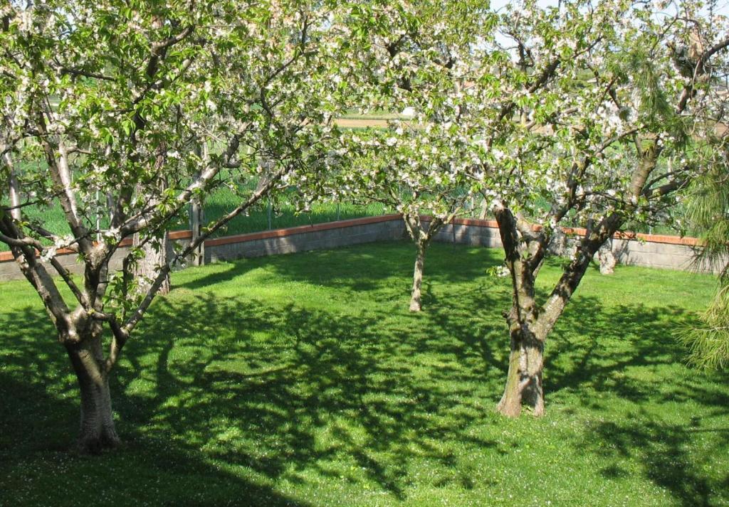 Bed & Breakfast Bompadre Civitanova Marche Dış mekan fotoğraf